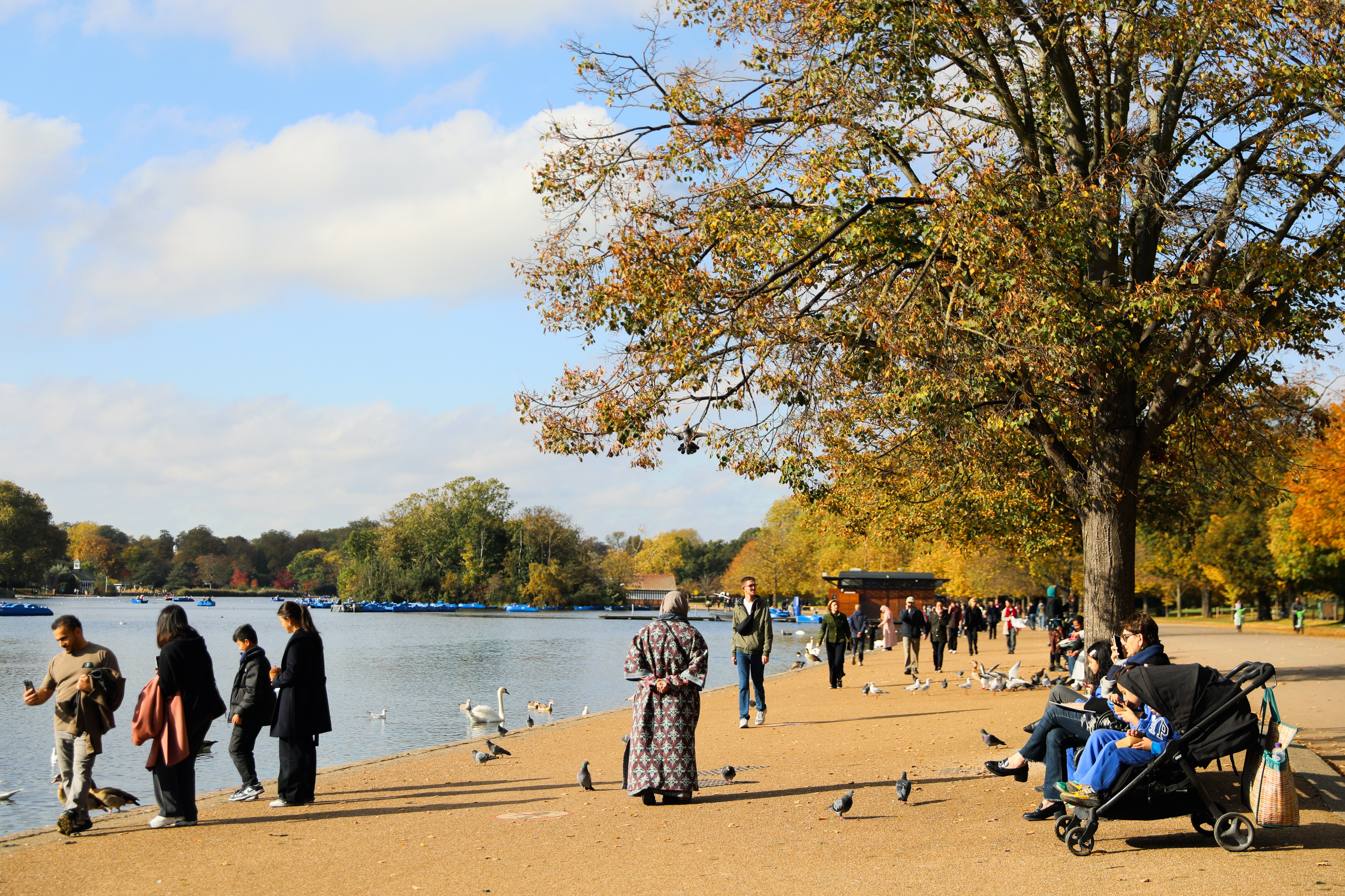 London weather: Autumn chill forecast to arrive within days as temperature to plunge