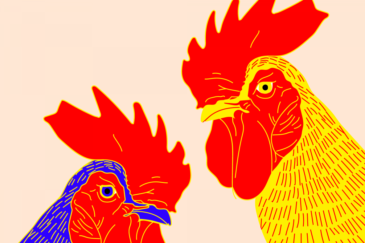 Chinese New Year what to expect during the Year of the