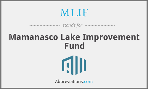 What does MLIF stand for?
