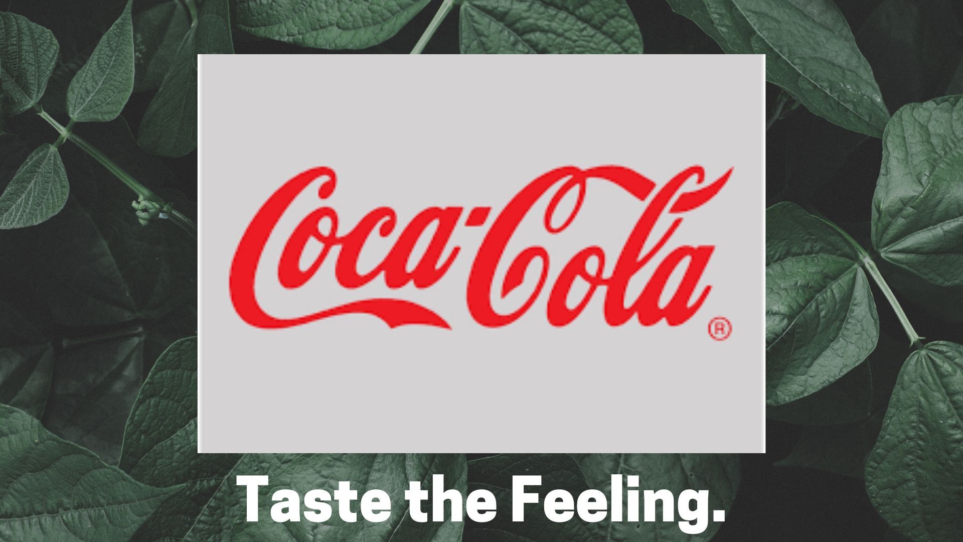 Examples of Great Customer Service by big companies like Amazon