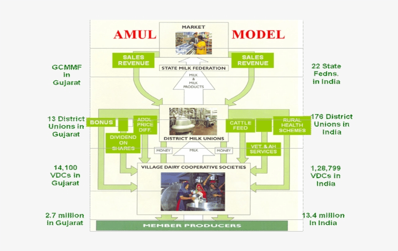 Amul Story behind White Revolution (A Case Study)