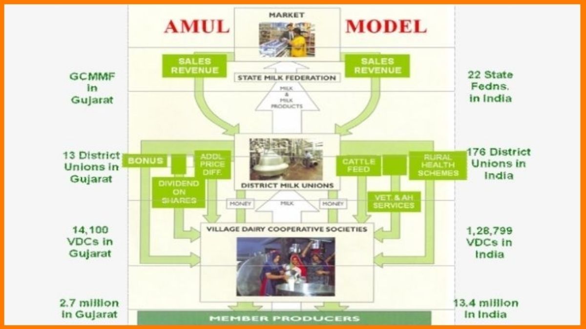 Amul Case Study The White Revolution, Amul History & Business Model