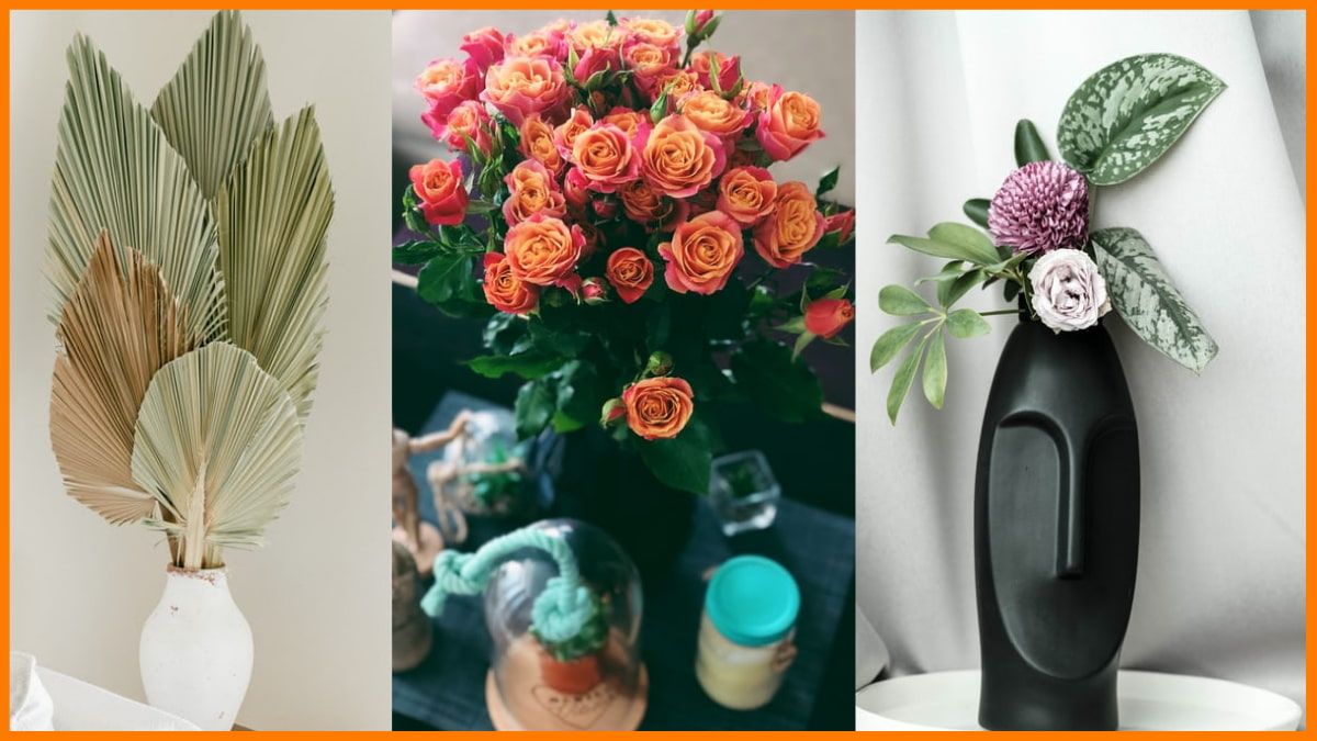 Dropshipping 35 Most Profitable Niches for Dropshipping