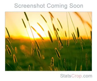 Keywords: Vjav.com - StatsCrop