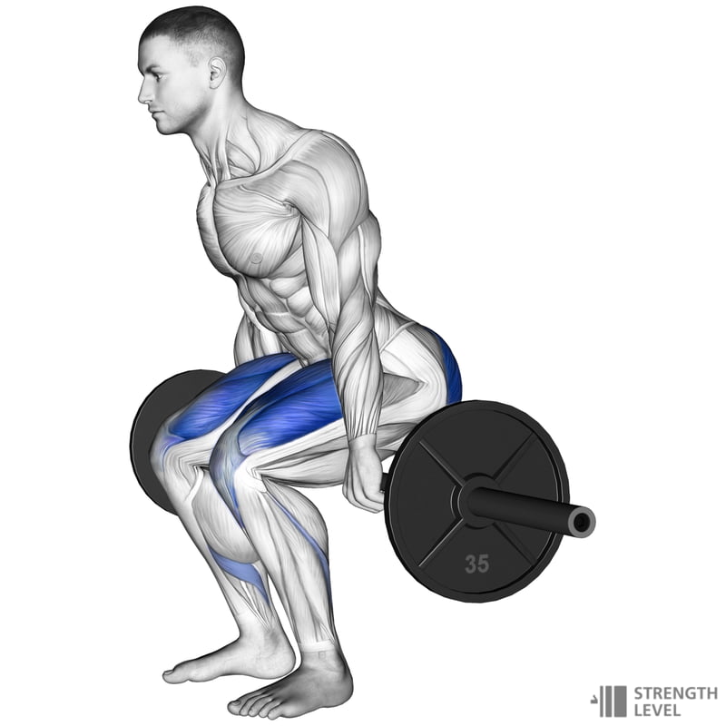 Barbell Hack Squat Standards for Men and Women (lb) Strength Level