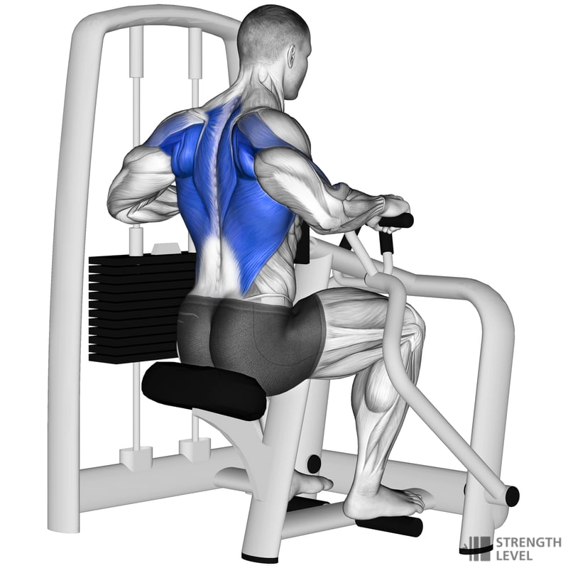 Machine Row Standards for Men and Women (kg) Strength Level