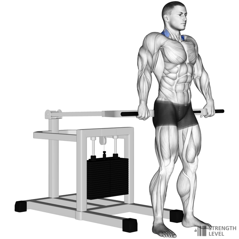 Machine Shrug Standards for Men and Women (lb) Strength Level