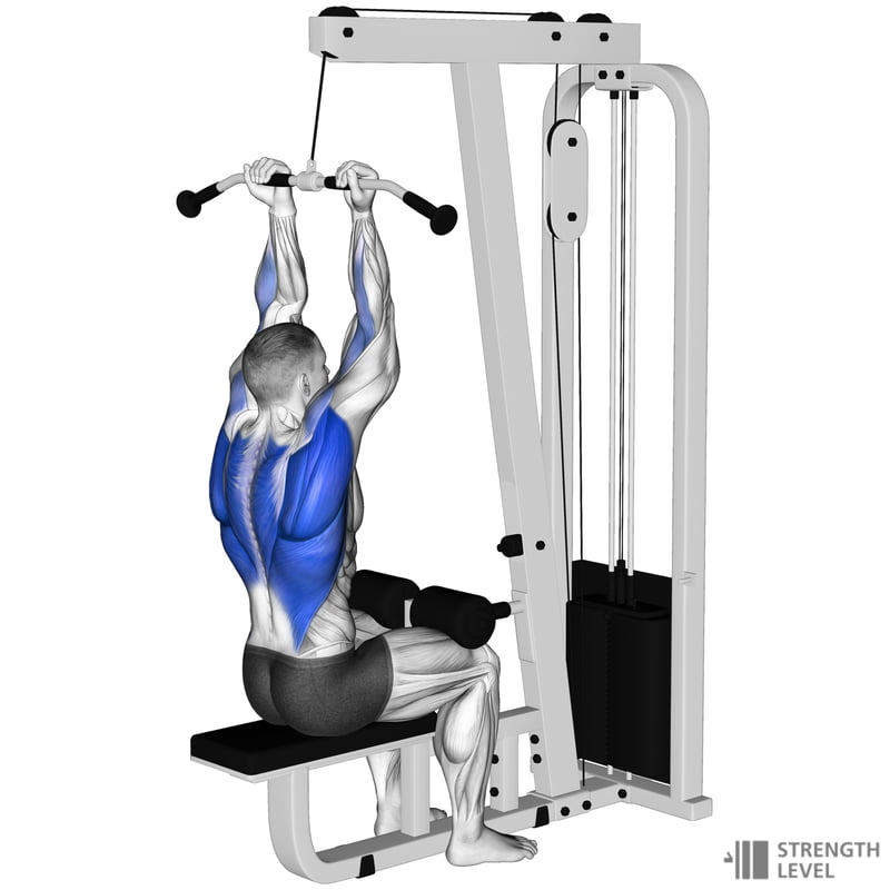 Reverse Grip Lat Pulldown Standards for Men and Women (lb) Strength Level