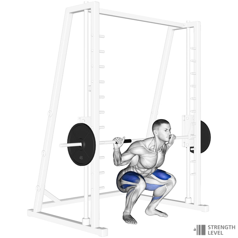 Smith Machine Squat Standards for Men and Women (lb) Strength Level