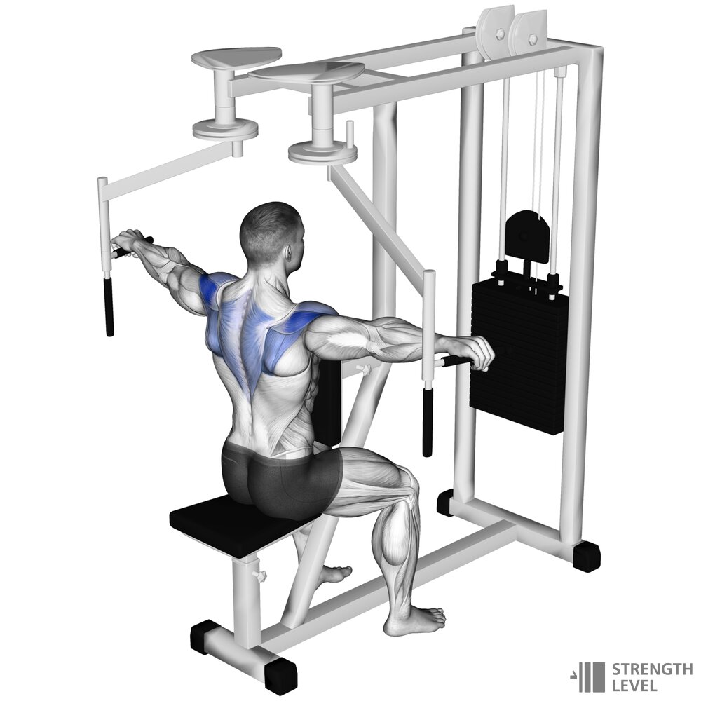 Machine Reverse Fly Standards for Men and Women (lb) Strength Level