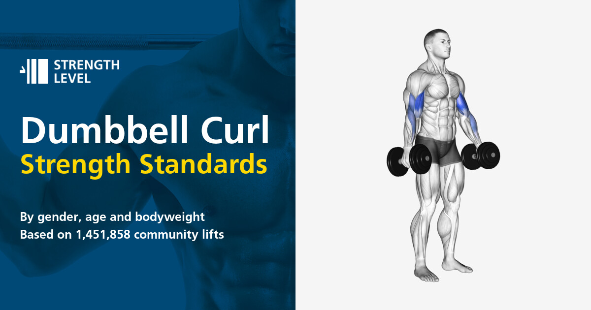 Dumbbell Curl Standards for Men and Women (lb) Strength Level