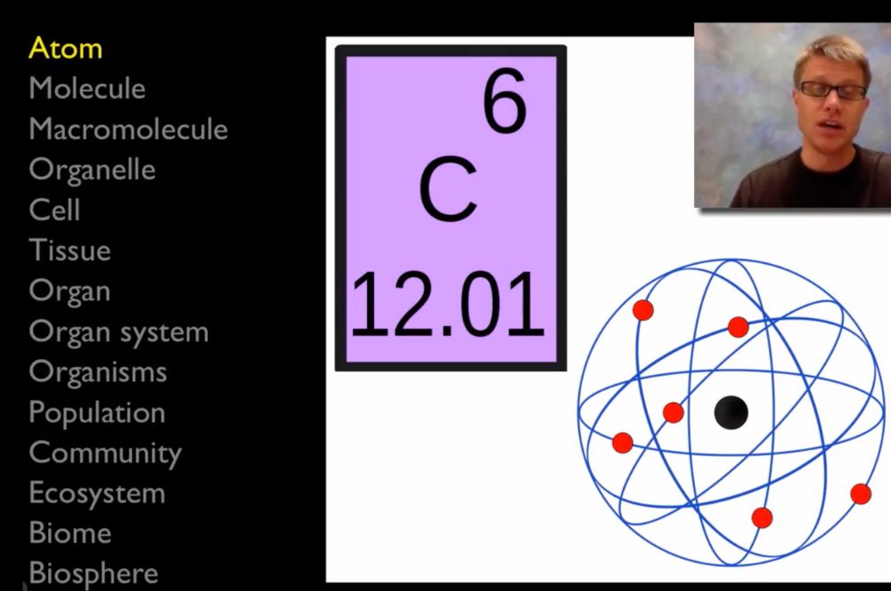 Biological Hierarchy of Organization | Pearson+ Channels
