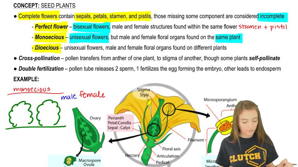 Which types of angiosperms would most likely be windpollinated r... Pearson+ Channels