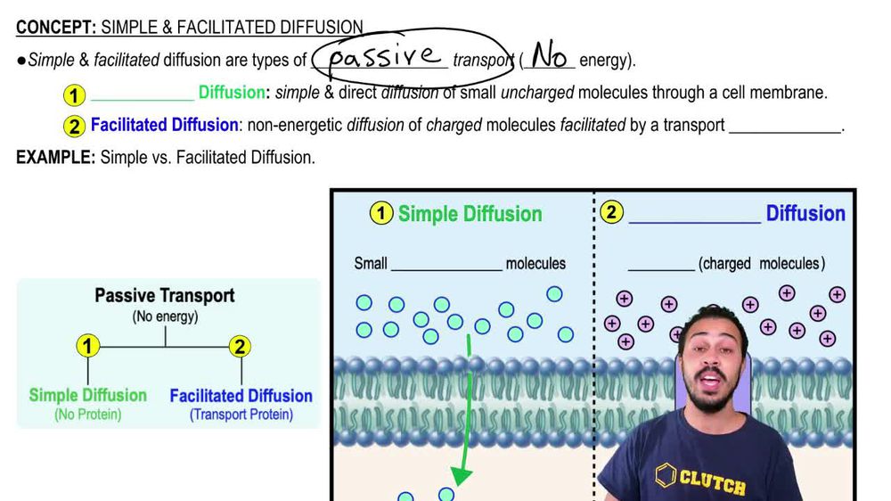 The difference between simple and facilitated diffusion is that f