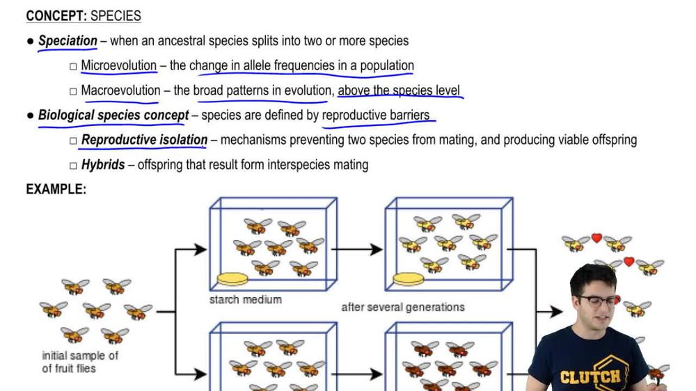 Sympatric Speciation and Hybrid Zones Pearson+ Channels