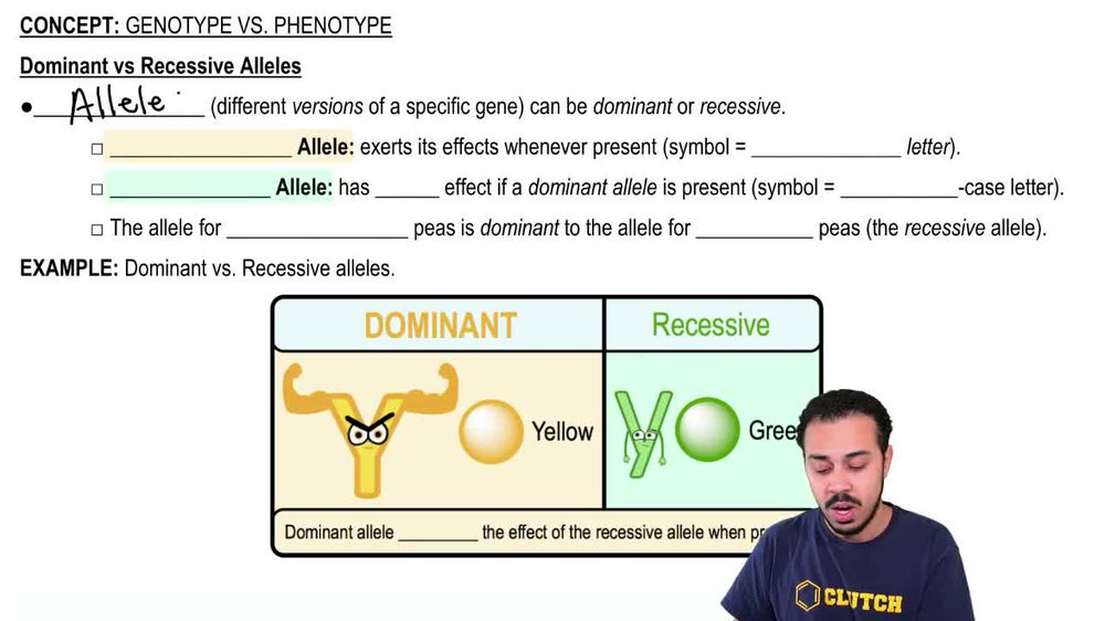 Dominant vs. Recessive Alleles Pearson+ Channels