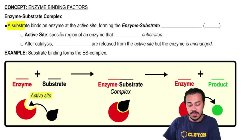 Cofactors, coenzymes, and vitamins MCAT Khan Academy Pearson+