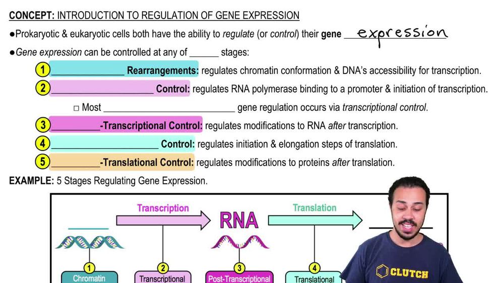 In prokaryotes, control of gene expression usually occurs at the Pearson+ Channels