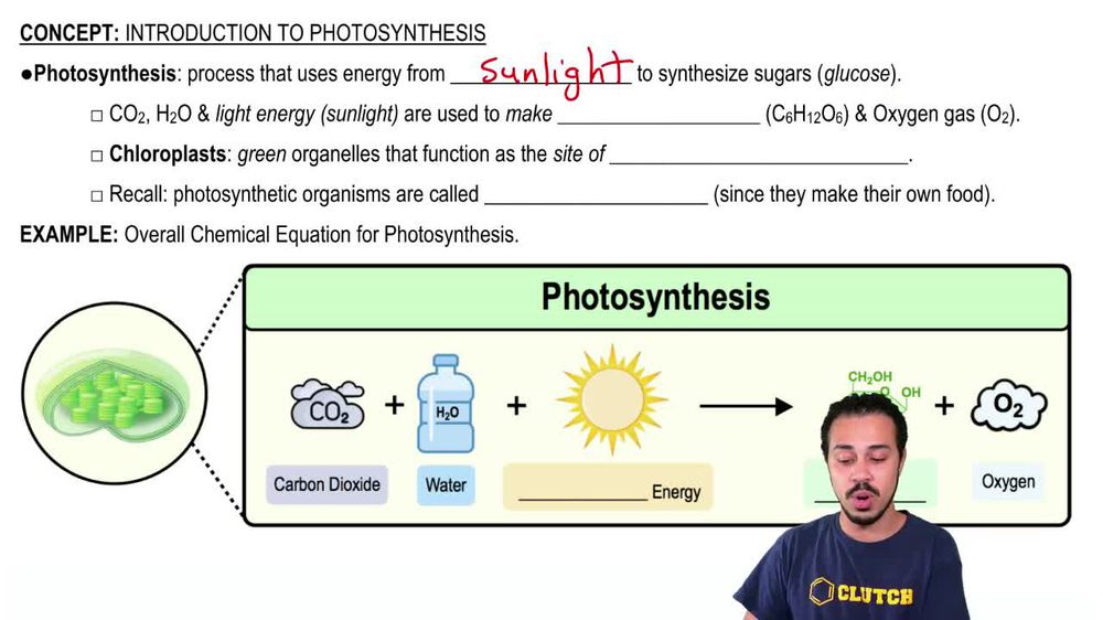 The source of the oxygen produced by photosynthesis has been iden... Pearson+ Channels