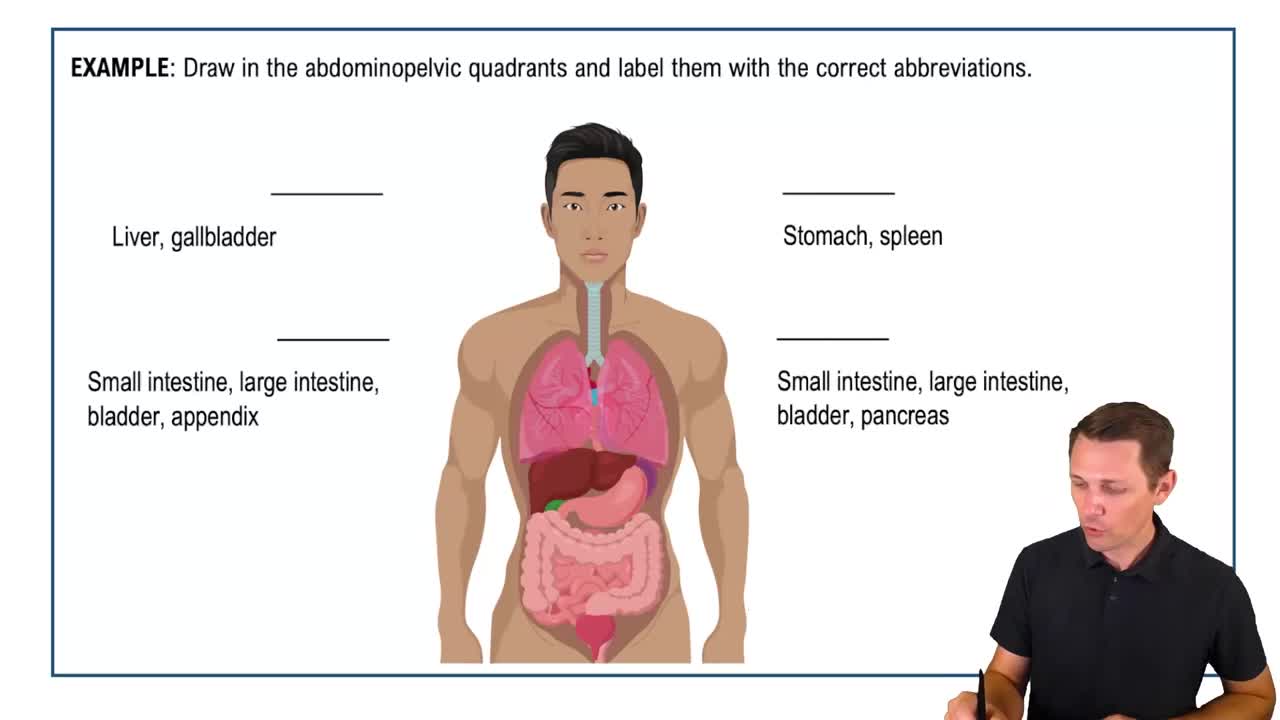 How would you name the region that is in the center and top of th