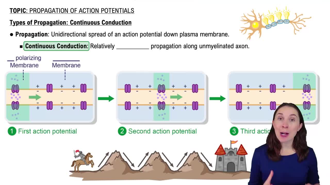 Types of Propagation Continuous Conduction Channels for Pearson+