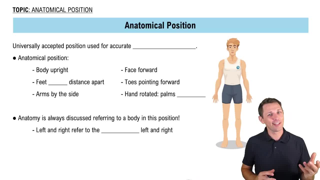 Anatomical Position Example 1 Channels for Pearson+