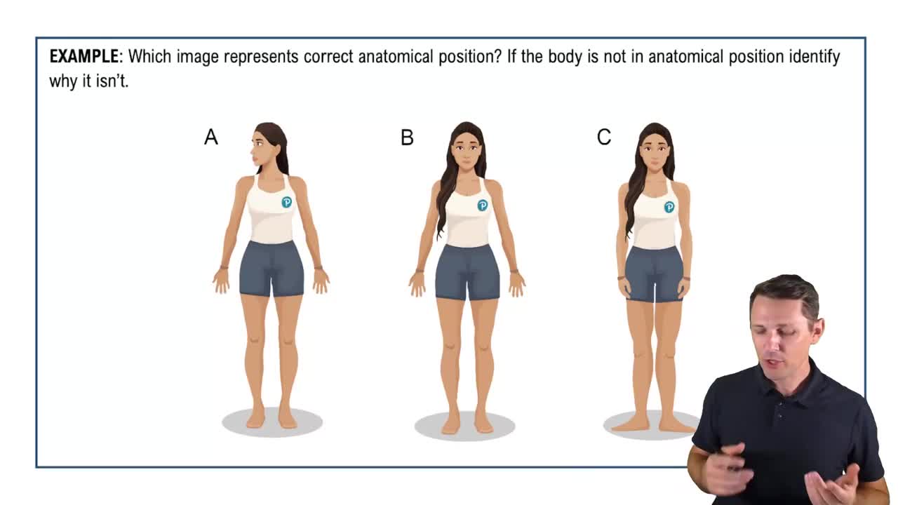 Anatomical Position Example 1 Channels for Pearson+