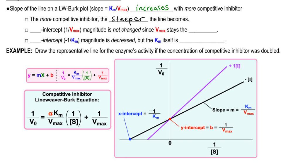 Competitive Inhibition Lineweaver Burk Plot