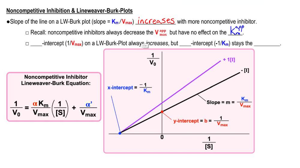 Competitive Inhibition Lineweaver Burk Plot