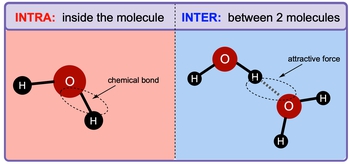 Intermolecular Forces Explained: Definition, Examples, Practice & Video