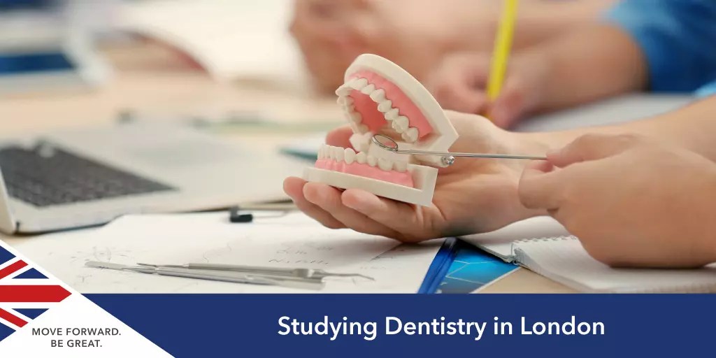 The Best Dentist Schools and Courses in London SIUK