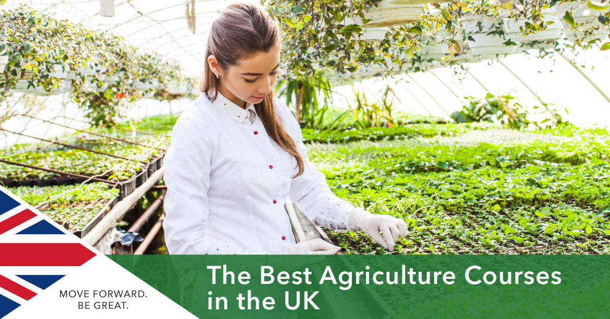 Top Five Agriculture Universities in the UK