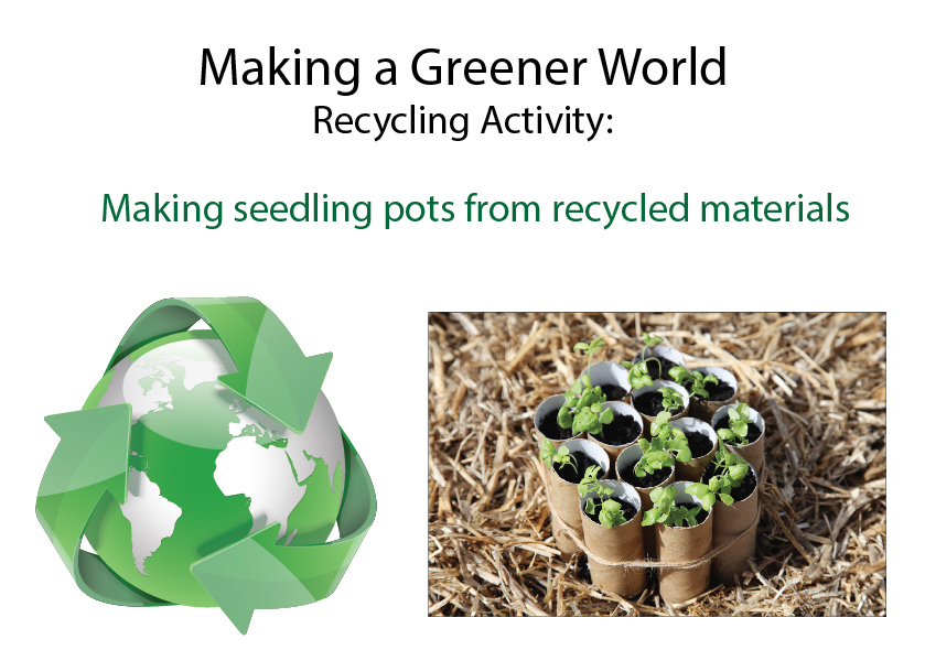 Making seedling pots from recycled materials (4 pages) Studyladder