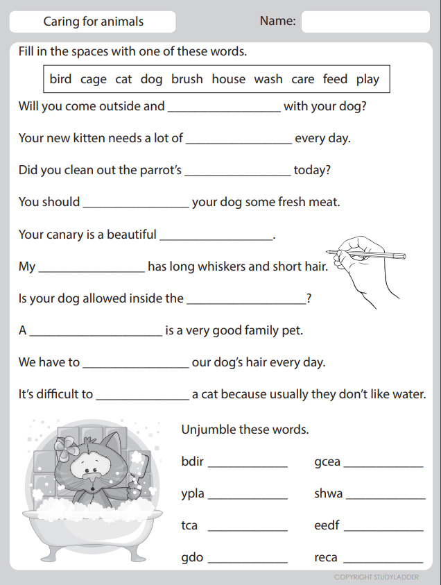 Animal Care Worksheets at Gary Hillhouse blog