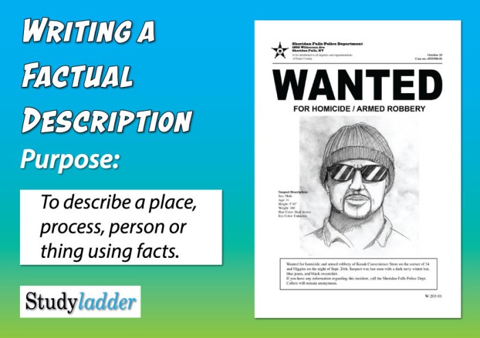 Writing A Factual Description - Studyladder Interactive Learning Games