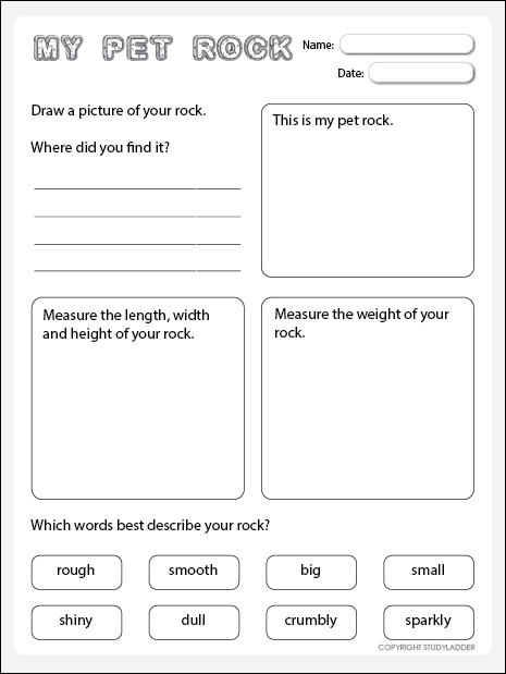My Pet Rock Studyladder Interactive Learning Games