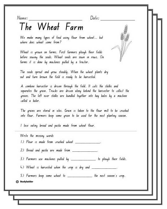 4 Rl 1.1 Activity Printable - postsgreenway