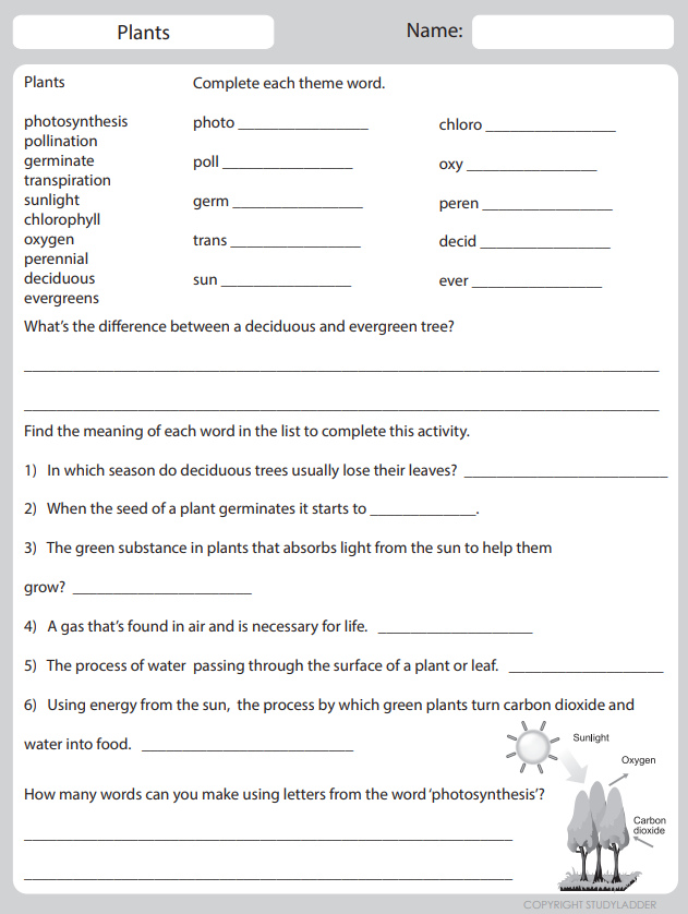 How Plants Feed Studyladder Interactive Learning Games
