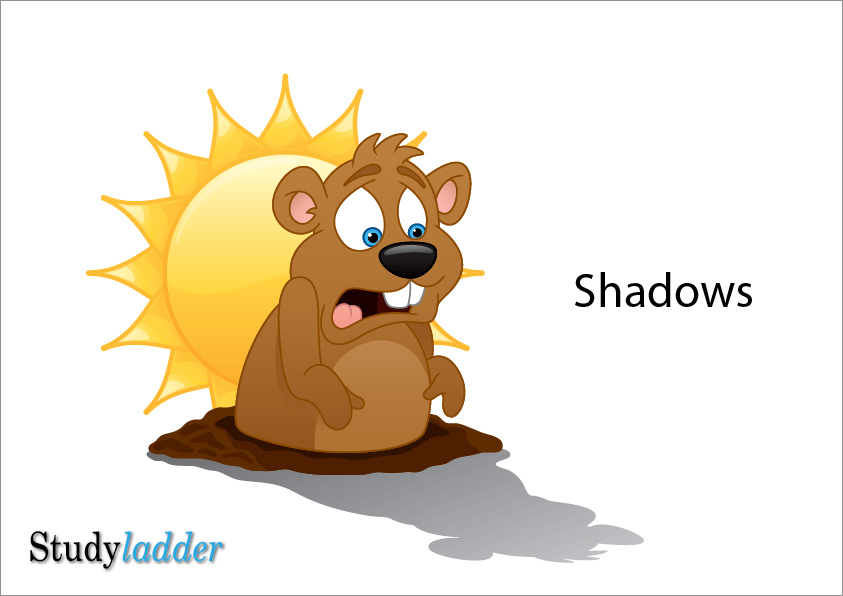 Why Do I Have A Shadow? (7_slides) Studyladder Interactive Learning Games
