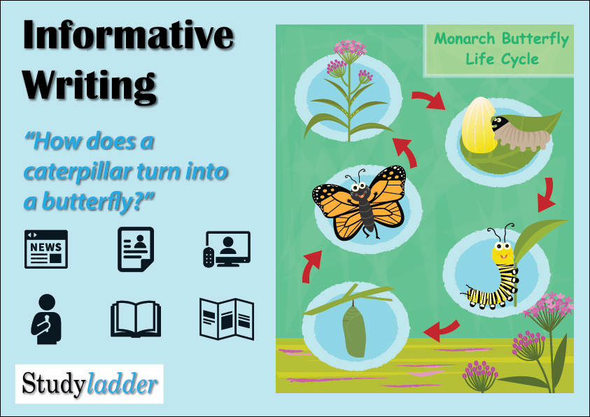 How A Caterpillar Turns Into A Butterfly Studyladder Interactive