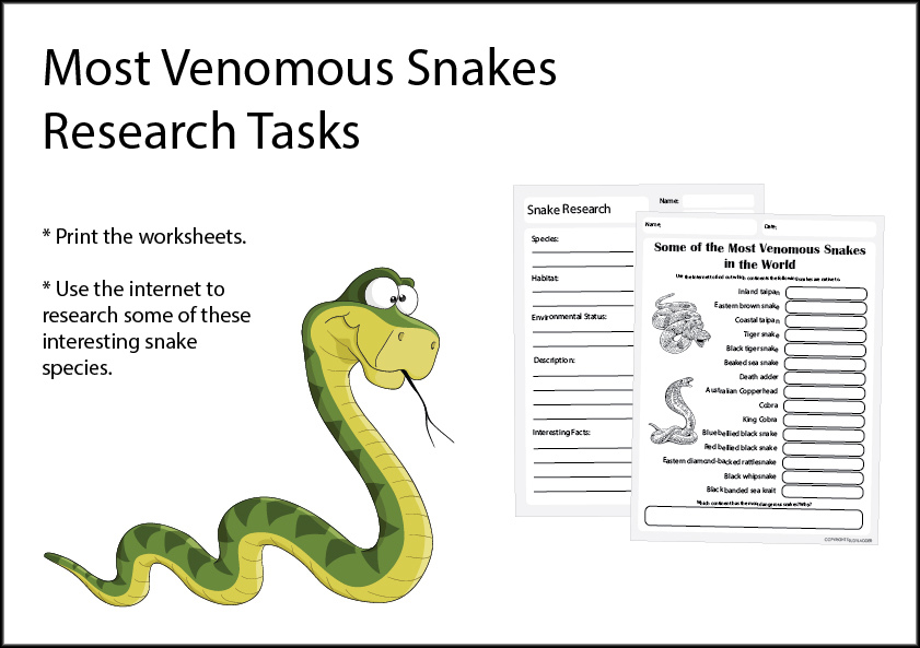 Research Activity Most Venomous Snakes Studyladder Interactive