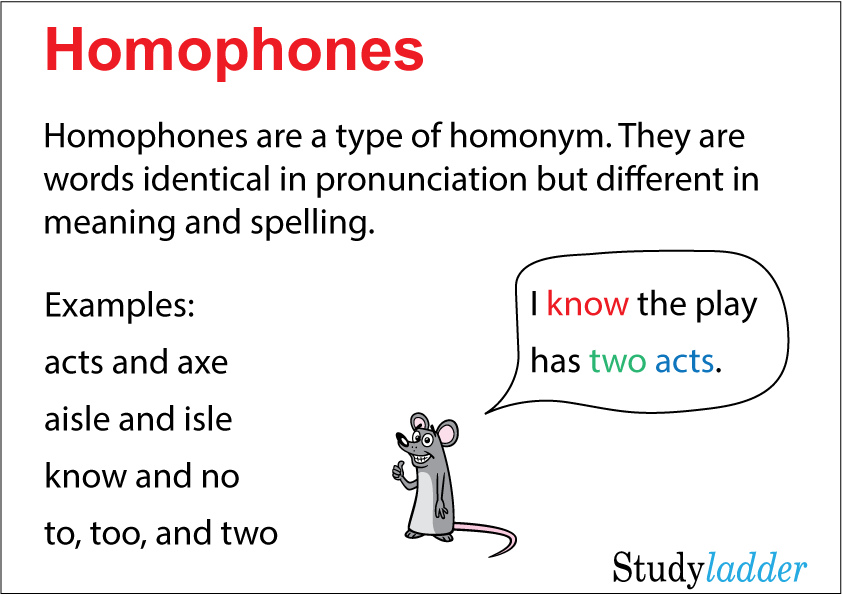 Homophones and Homographs Studyladder Interactive Learning Games
