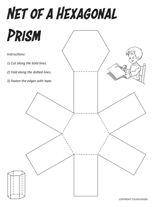 Constructing a hexagonal prism from its net Studyladder Interactive