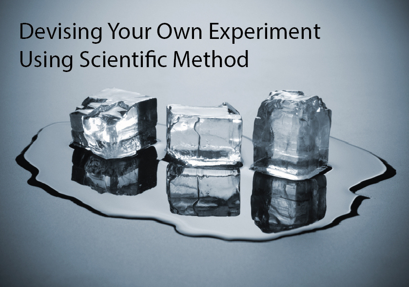 Experiment Freezing Point of Salt Water Studyladder Interactive