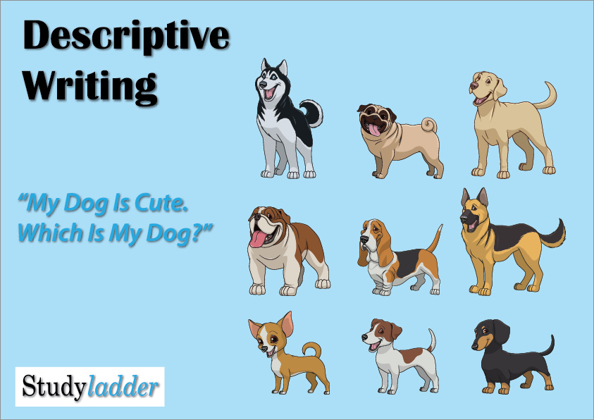 My Dog is Cute (Descriptive Writing) Studyladder Interactive Learning Games