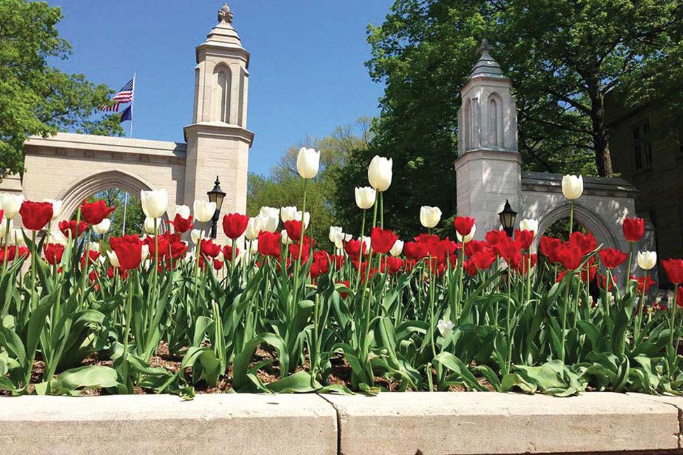 Indiana University Intensive English Program