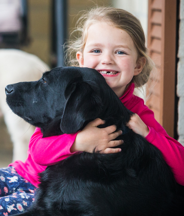 Local Government How your council stacks up on dog control Stuff.co.nz