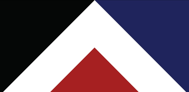 The best flag designs that didn't make the cut Stuff.co.nz