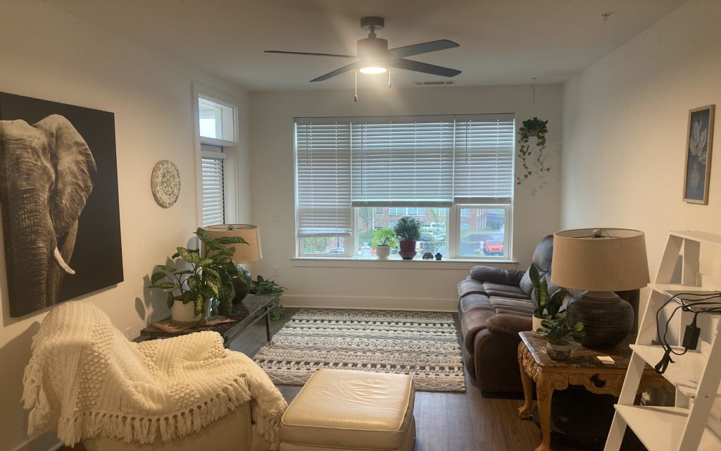 Charlotte Sublets Furnished Apartments and Rooms for Rent in Charlotte