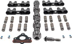 Melling MDK300 Melling AFM/MDS Delete Combo | Summit Racing